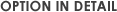 Option in Detail
